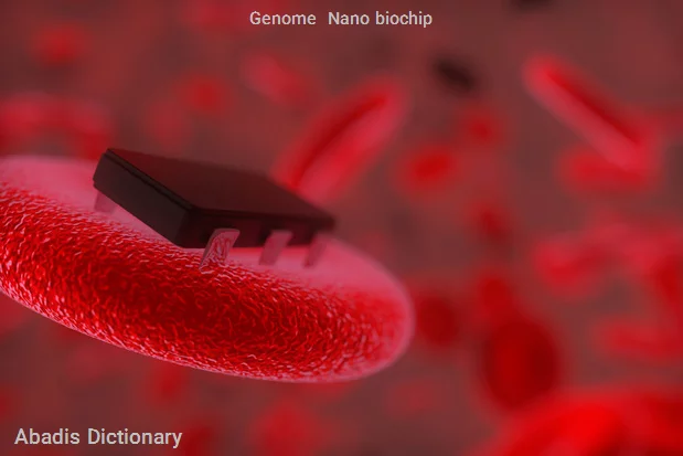 genome nano biochip